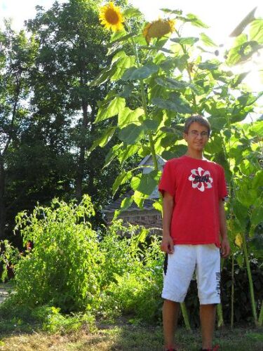 Urban Oases